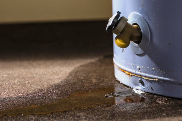 Best Professional water damage repair  in Belcourt, ND