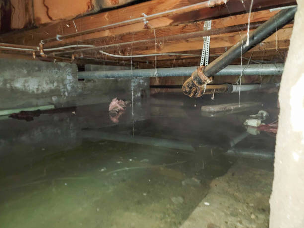 Belcourt, ND Water damage restoration Company