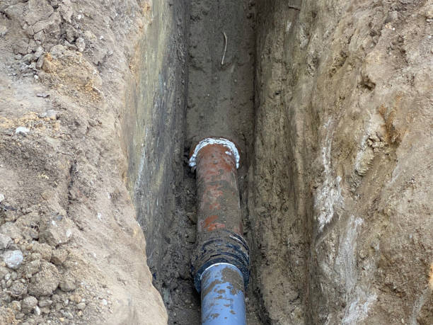 Best Professional water damage repair  in Belcourt, ND