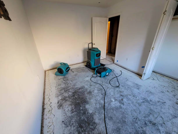 Best Flood damage cleanup  in Belcourt, ND