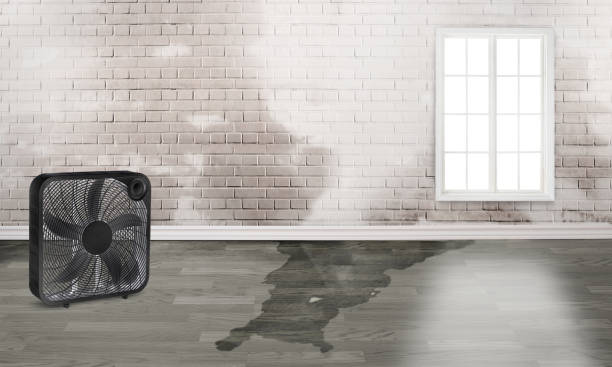 Best Emergency water damage restoration  in Belcourt, ND