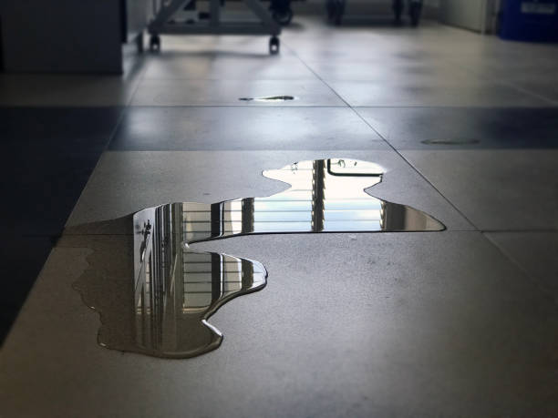 Best Water damage restoration near me  in Belcourt, ND