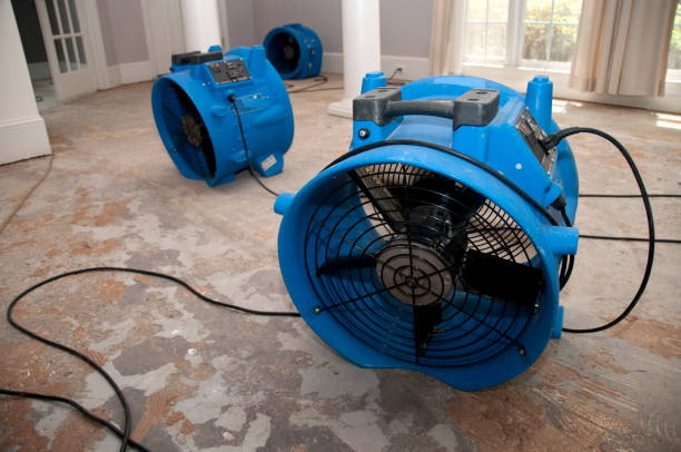 Best Fire Damage Restoration  in Belcourt, ND