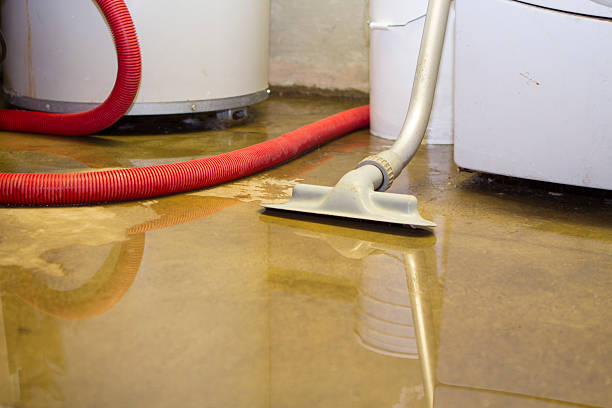 Best 24-hour water damage restoration  in Belcourt, ND