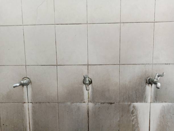 Best Water damage cleanup near me  in Belcourt, ND