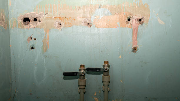 Best Residential water damage restoration  in Belcourt, ND