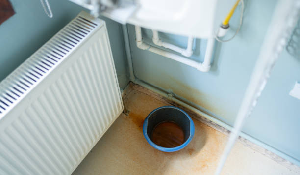 Best Water damage restoration insurance claims  in Belcourt, ND