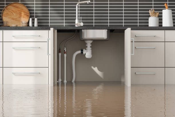Best Water damage cleanup near me  in Belcourt, ND