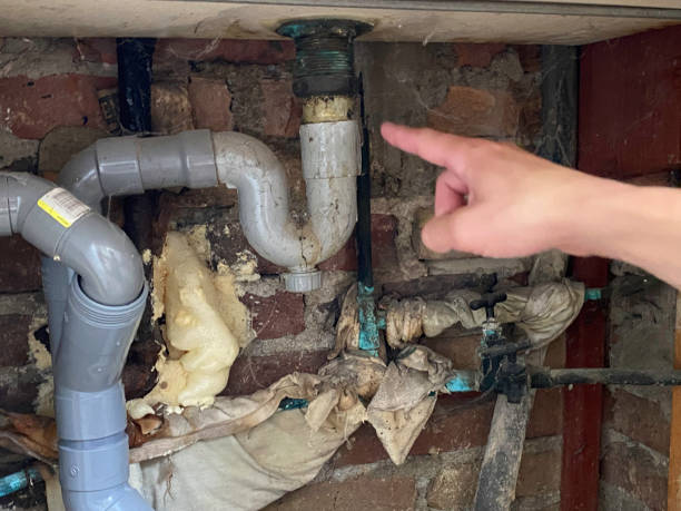 Best Local water damage restoration  in Belcourt, ND