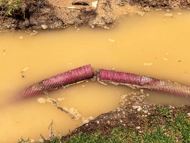 24/7 water damage repair in Belcourt, ND