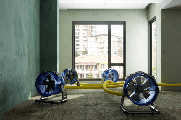 Water damage restoration insurance claims in Belcourt, ND