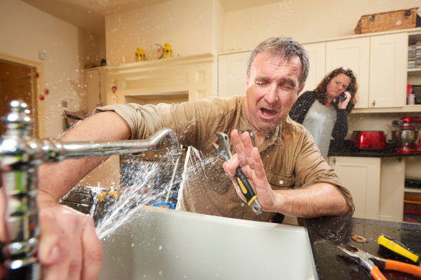 Best Water damage restoration process  in Belcourt, ND
